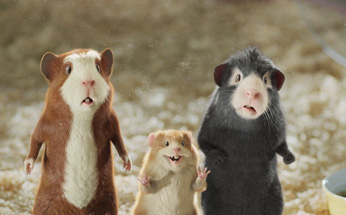 They can't believe there's a movie about talking guinea pigs, either.