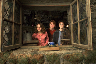 Harry Potter and Co. have become quite the cottage industry.