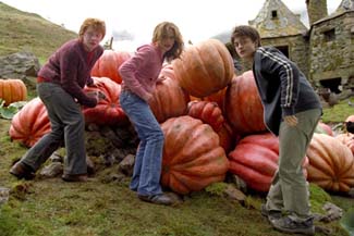 Where's Linus? The Great Pumpkin could arrive any second.