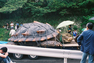 Gamera, Guardian of the Flat-Bed Truck