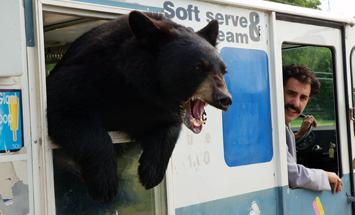 Azamat, are you having sexy time with bear?