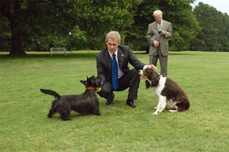 Cheney is updating his Facebook status to indicate he's 'gone to the dogs again'. 