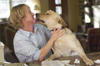 The dog is hoping he is called The Butterscotch Stallion for flavor reasons.