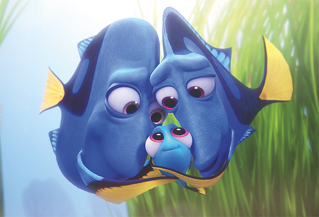 The best little detail about Finding Dory is that her dad is drawn like a bald dude.