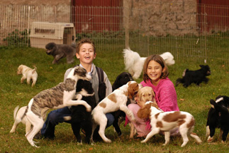 Is there anything cuter than kids and puppies?