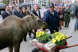 The set for Northern Exposure is that-a-way.